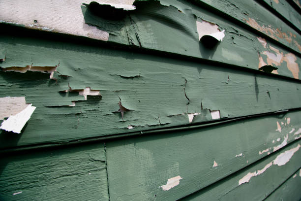 Same-Day Junk Removal Services in Los Alamos, NM